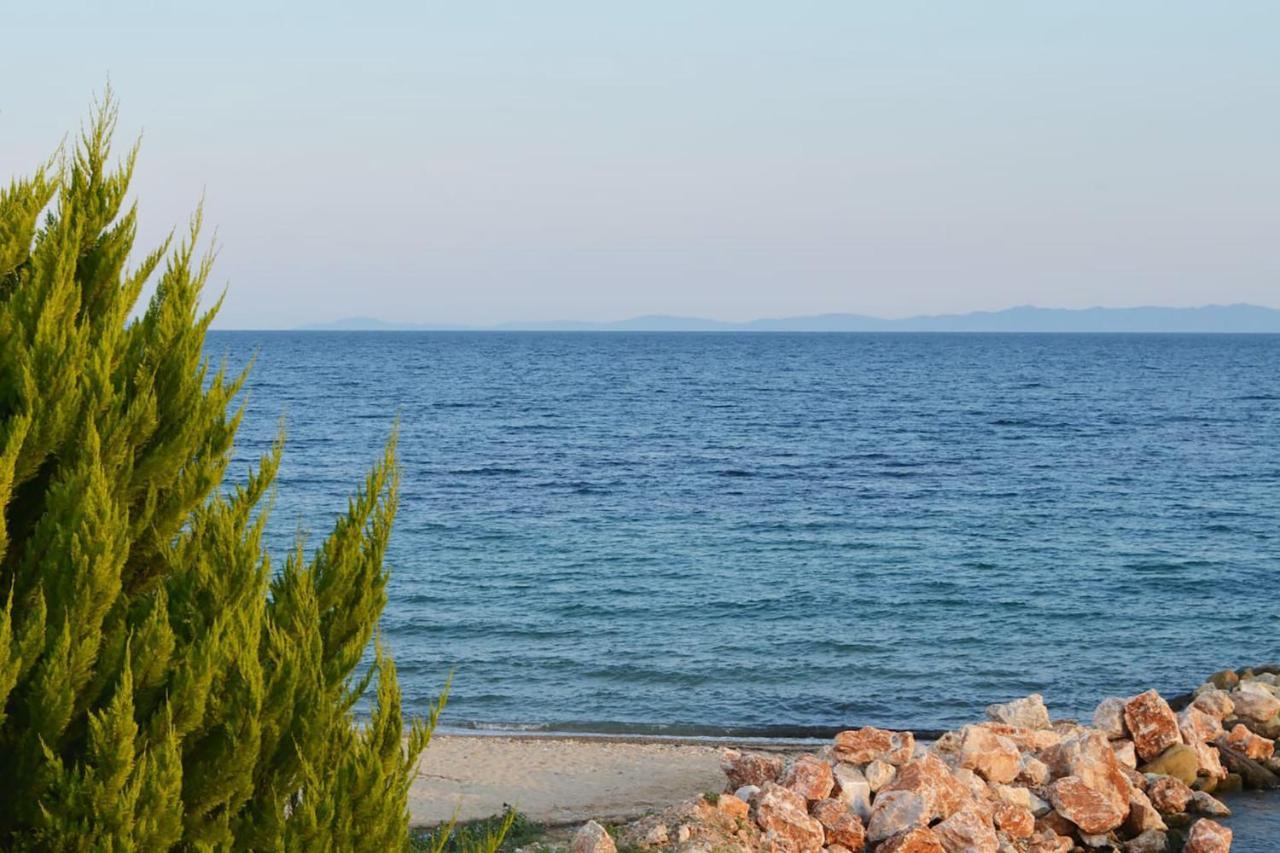 Lemon Beach Front Apartment, Nikiti Exteriör bild